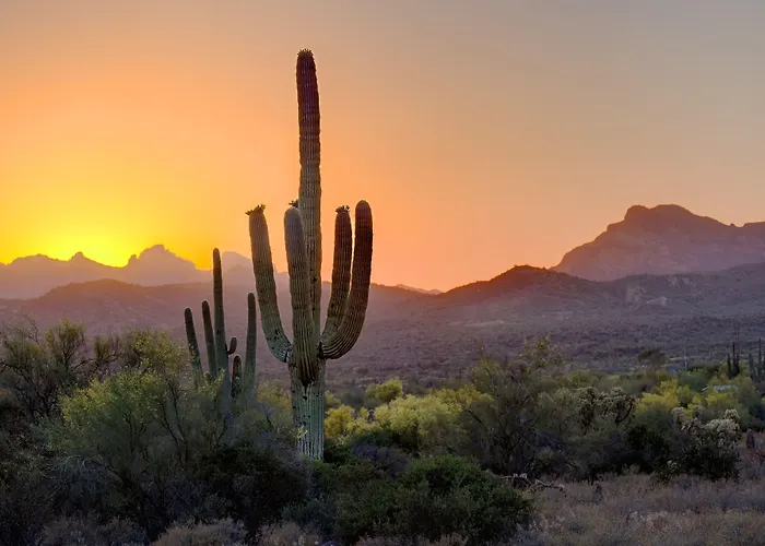 By Marriott Downtown/university 3* Tempe